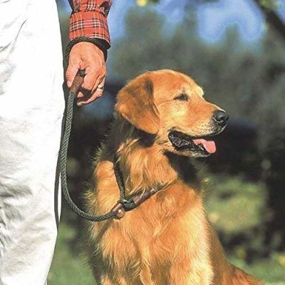 Vibrant Retractable Dog Leash Machine Washable Slip Lead