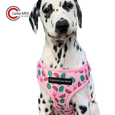 High Quality Pet Supplies Custom Print Dog Harness Belt and Leash Set Dog Accessories/Pet Accessory