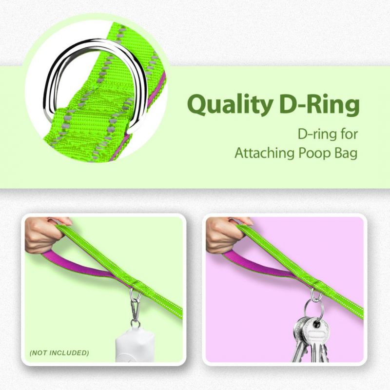 Reflective Dog Leash with Soft Padded Handle for Training, Walking Lead for Large & Medium Dog