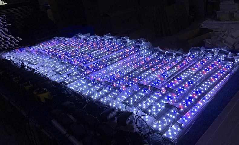 Aquarium LED Clamp Light with Timer 10W on Open Tank