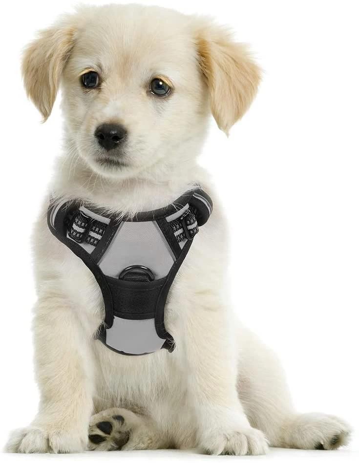 Non-Pulling Dog Harness Reflective Dog Harness