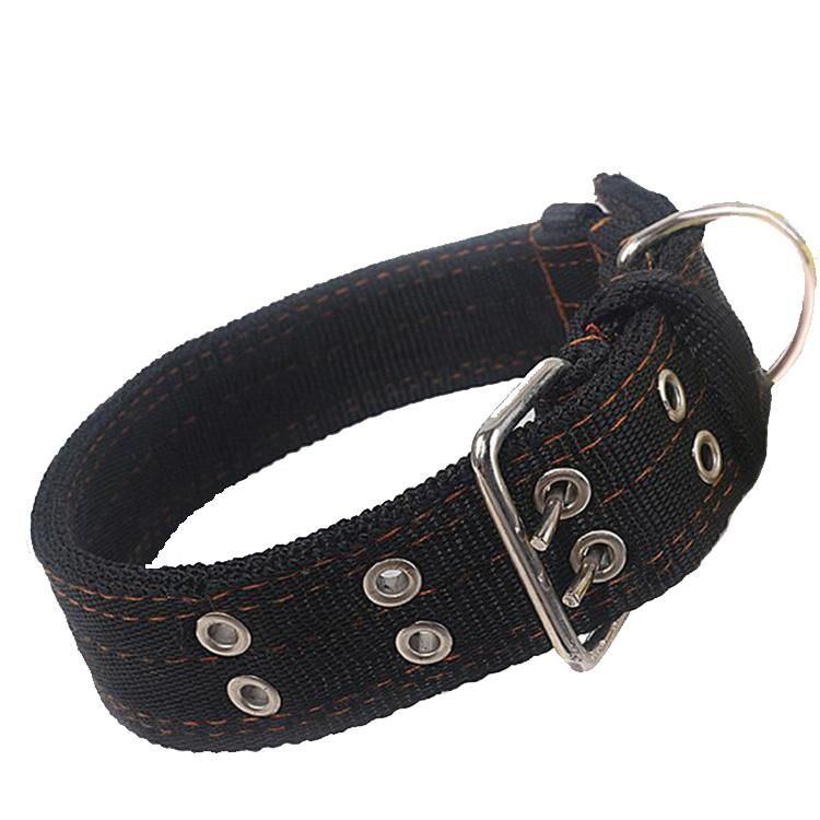 High Quality Outdoor Popular Pet Dog Collar and Leash Set