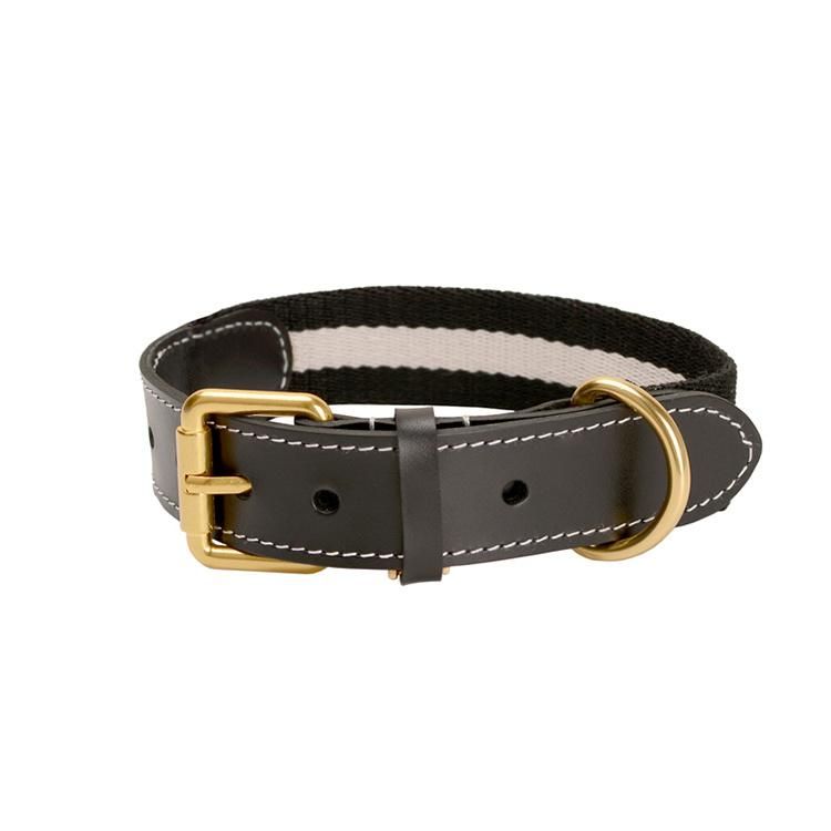 Wide Personalised Webbing Dog Collar with Leather