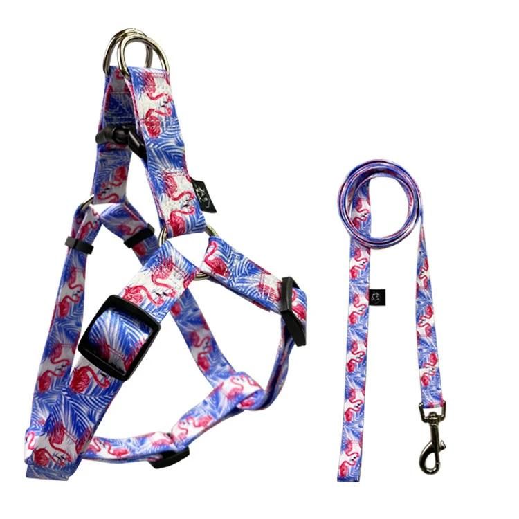 Custom Designer Reflective Soft Padded Nylon No Pull Dog Harness and Leash Set