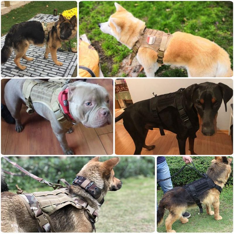 Wholesale Tactical Training Dog Harness Military Adjustable Nylon Vest Clothes Pet Products Leash