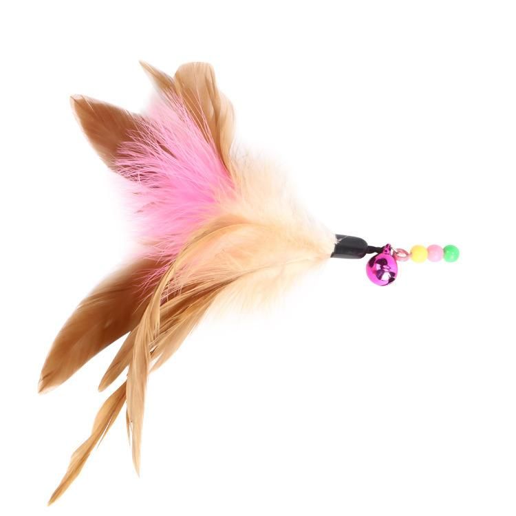 Funny Cat Stick Fairy Cat Funny Cat Stick