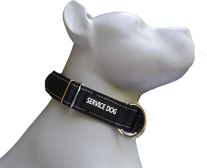 Spupps Black Color Nylon Webbing Material Reflective Service Dog Collar for Small/Medium Dog