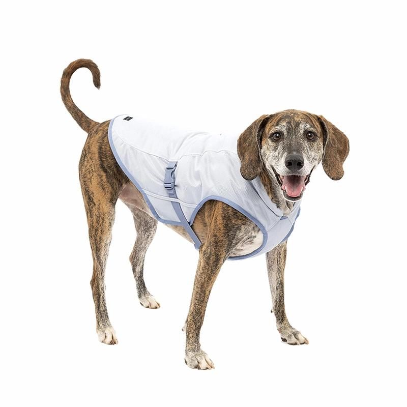 Luxury Hunting Training Camping Adjustable Evaporation Breathable Mesh Reflective Pet Dog Ice Cooling Vest Harness Cooler Jacket