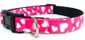Dog Collar, Patterned Pet Collar, Cat Collar, Padded Dog Collar, Custom Collar, Personalised Dog Collar (PCV0004)