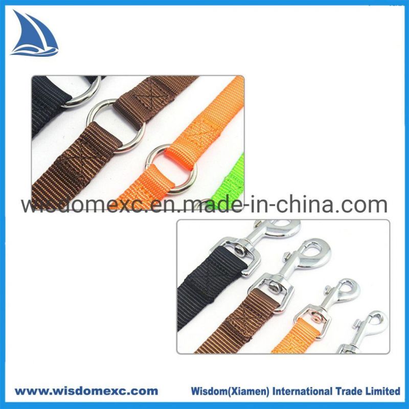 Orange Blue 2 Leash Handle Free Dog Collar