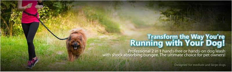 Hands-Free Bungee Dog Leash for Easy Hiking, Biking