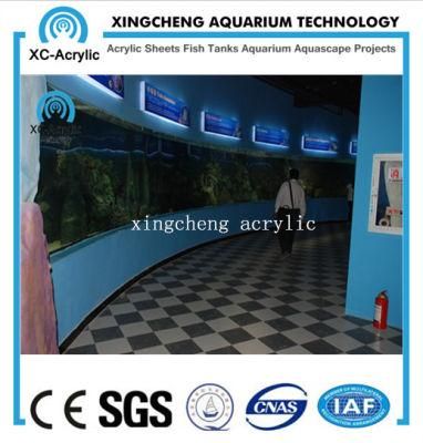Customized Transparent Acrylic Aquarium Supplier Build Aquarium Project