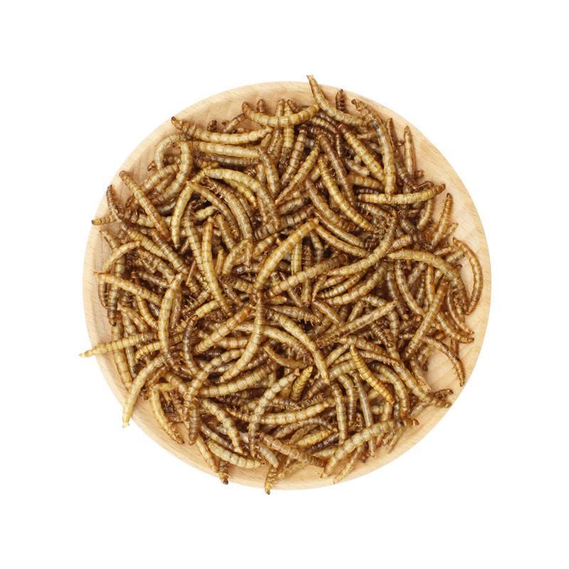 Factory Direct Sale Bird Food Pet Products Mealworms Pet Food