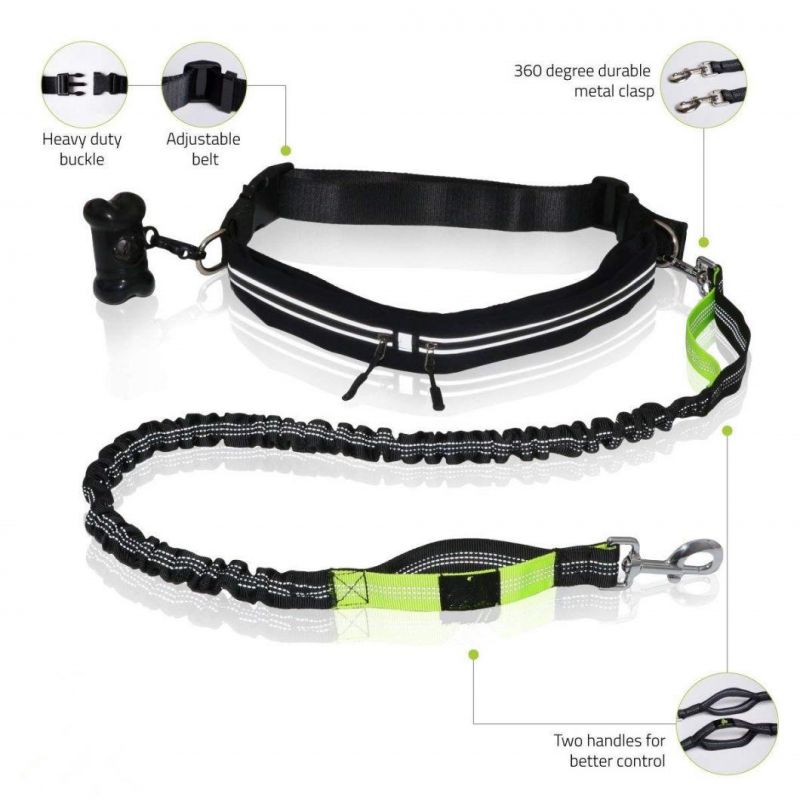 Bungee Dog Leash for Walking & Running with Small, Medium or Large Dogs