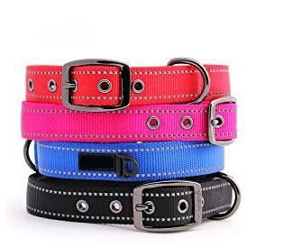 Sturdy Dog Collar Heavy Duty Pet Collar Gunmetal Finished Quality Metal