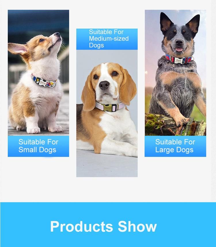 OEM Custom Luxury Personalized Name Plate Logo Adjustable Plain Polyester Pet Dog Collar