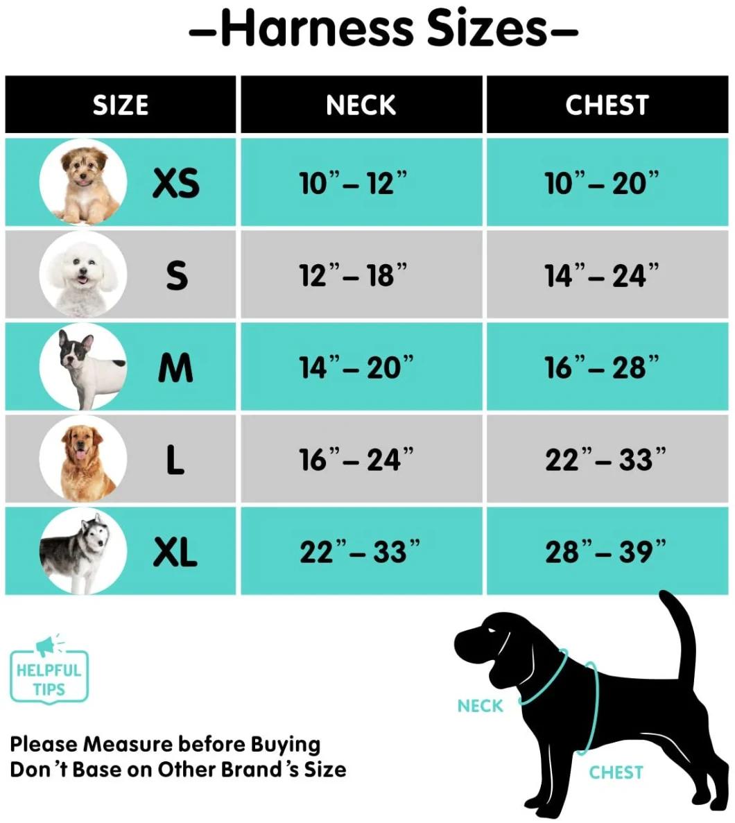 Innovative No-Choke Design Comfortable Mesh Dog Harness