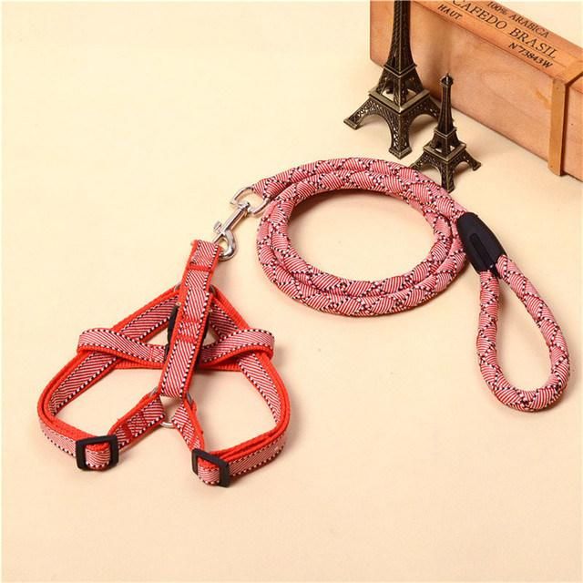 Reflective Rope Dog Leash with Matching Dog Harness