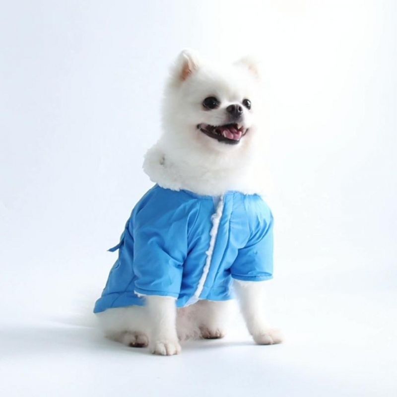 Dog Products, Dog Coat, Cotton Puppy Coat for Small and Medium Dogs to Keep Warm, Windproof Winter Dog Clothing, Indoor and Outdoor Pet Clothing