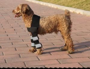 Black Safe Pet Kneepads with Neoprene Reflective Strips