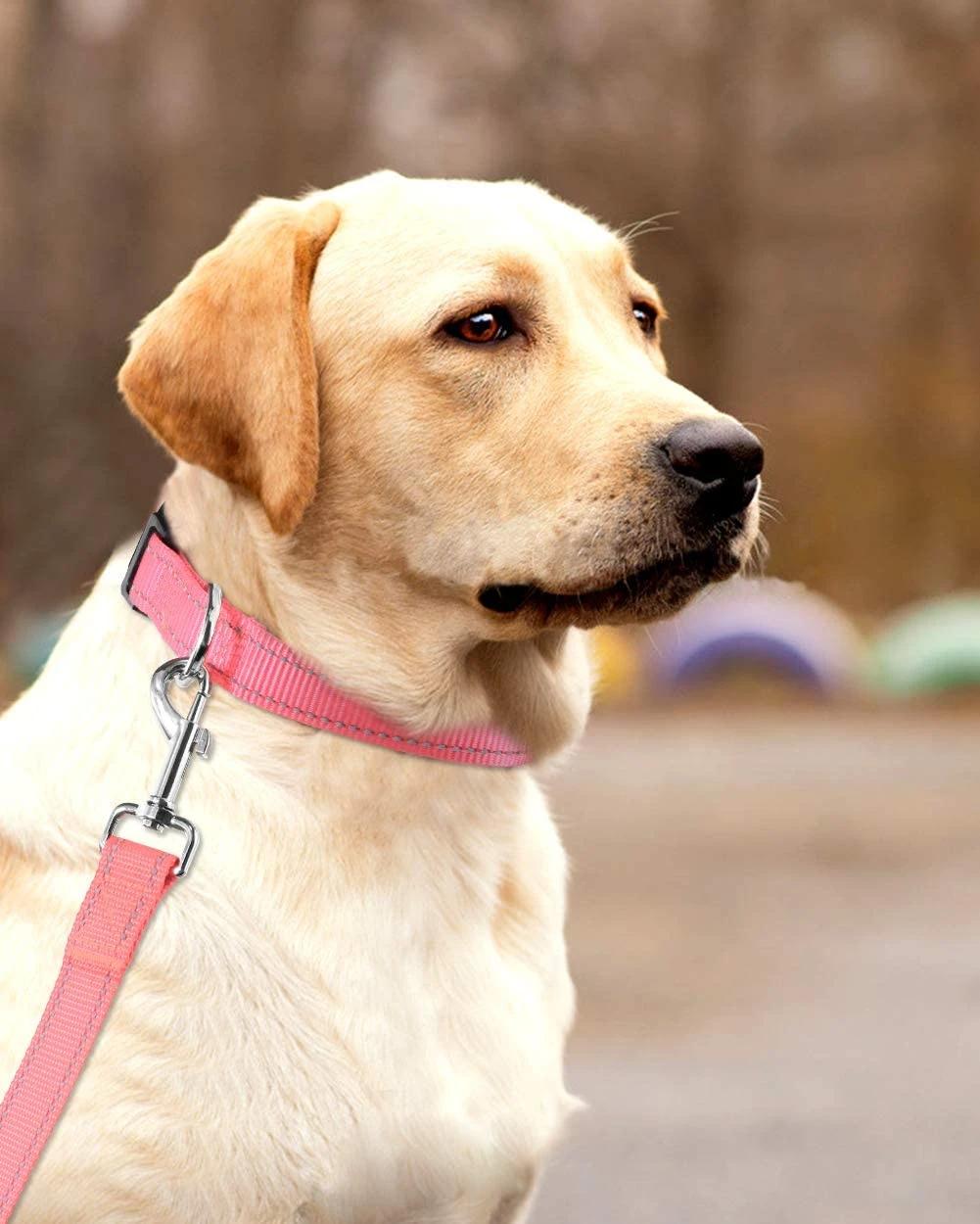 Reflective Nylon Dog Collar with Quick Release Buckle with Fast Delivery