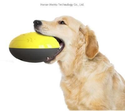 Interactive Pet Feeder with Educational Intelligence Training