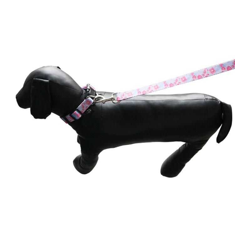 Charm Design High Quality Solid Dog Collar Leash Manufacturer Pet Supplies Dog Collar Laser Brand Leash Set