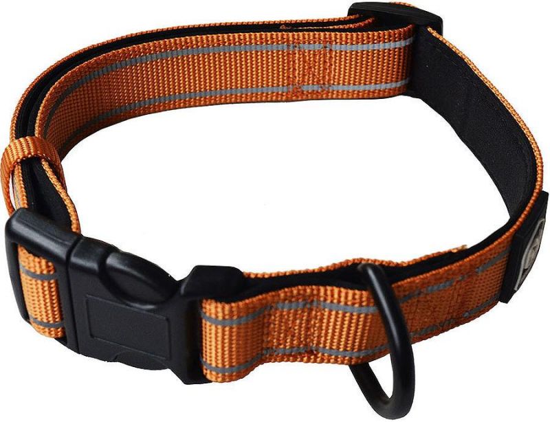 Colourful Rainbow Nylon Solid Leash and Collar