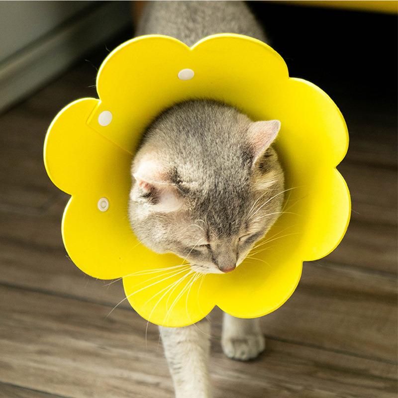 Pet Recovery Collar Dog Cat Soft Elizabethan Collar