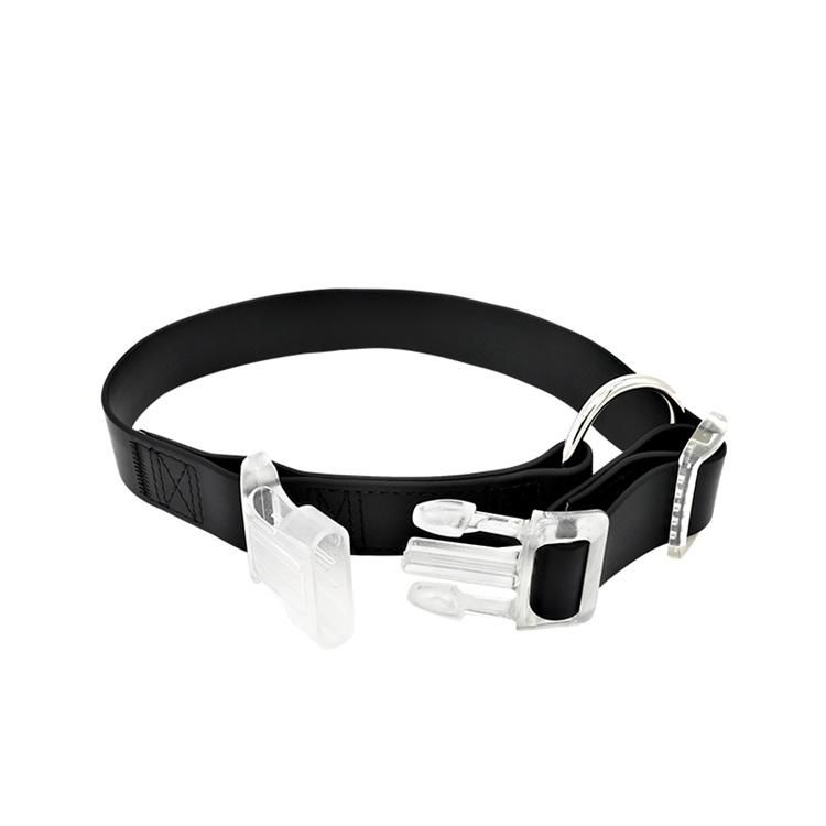 Manufacturer Factory Rubber-Coated Webbing Waterproof Dirt-Proof Dog Collar&Leash