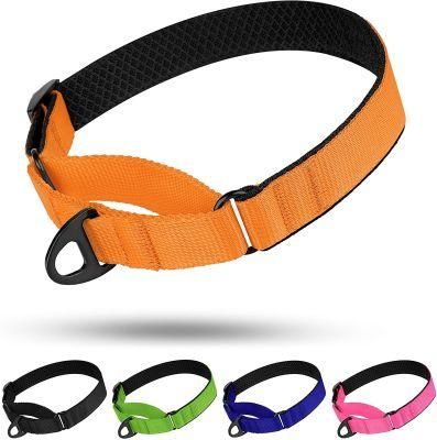 Nylon Martingale Dog Collar Soft Padded Durable Training Pet Collars