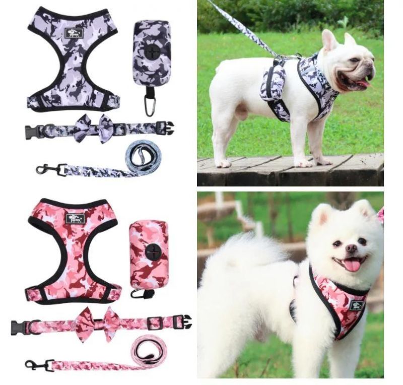 Wholesale Dog Harness Leash Training Sport Low Pricepets Accessories Stylish Dog Collar Harness