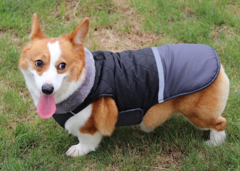 Autumn Winter Big Fur Collar Dog Clothes New Double-Sided Dog Clothes Can Be Worn Waterproof Cotton Clothes