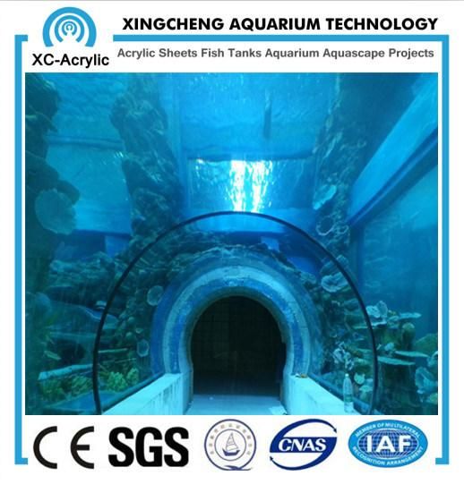 Acrylic Tunnel/Aquarium