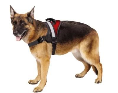 Outdoor Adventure Rubber Handle Dog Harness for Easy Control