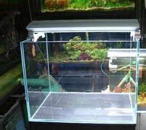 Large Glass Aquarium Huge Farm Fish Tank Big Fish Tank with Decoration