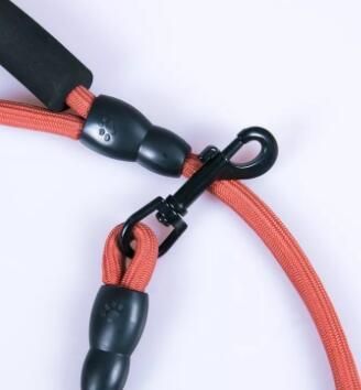 OEM Design Chain Dog Leashes