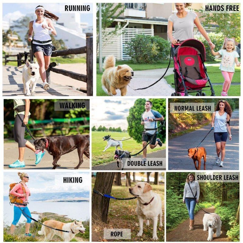 Shock Absorbing Hands-Free Dog Leash for Running Walking