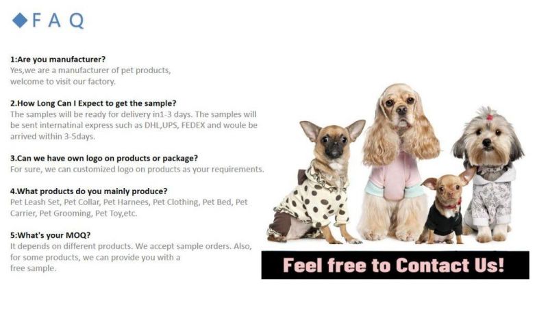 Pet Carrier for Small Cat and Dogs Laser Colorful PVC Transparent Pet Sling Bag Outdoor Dog Cat Pet Products