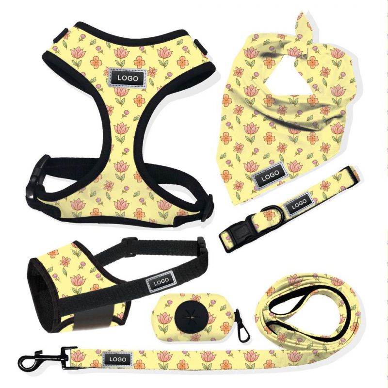 Pet Supplies Custom Dog Harness Reversible No Pull Dog Harness and Leash Front D Buckle Accesorios PARA Mascotas Vest for Dog