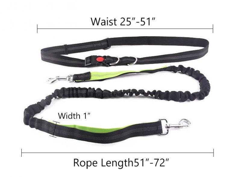 Durable Dual Handle Waist Leash, Reflective Adjustable Padded Bungee Hands Free Dog Leash for Running //