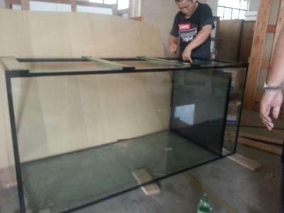 Professional Custom Low Iron Glass Rectangular Aquariums for Sale
