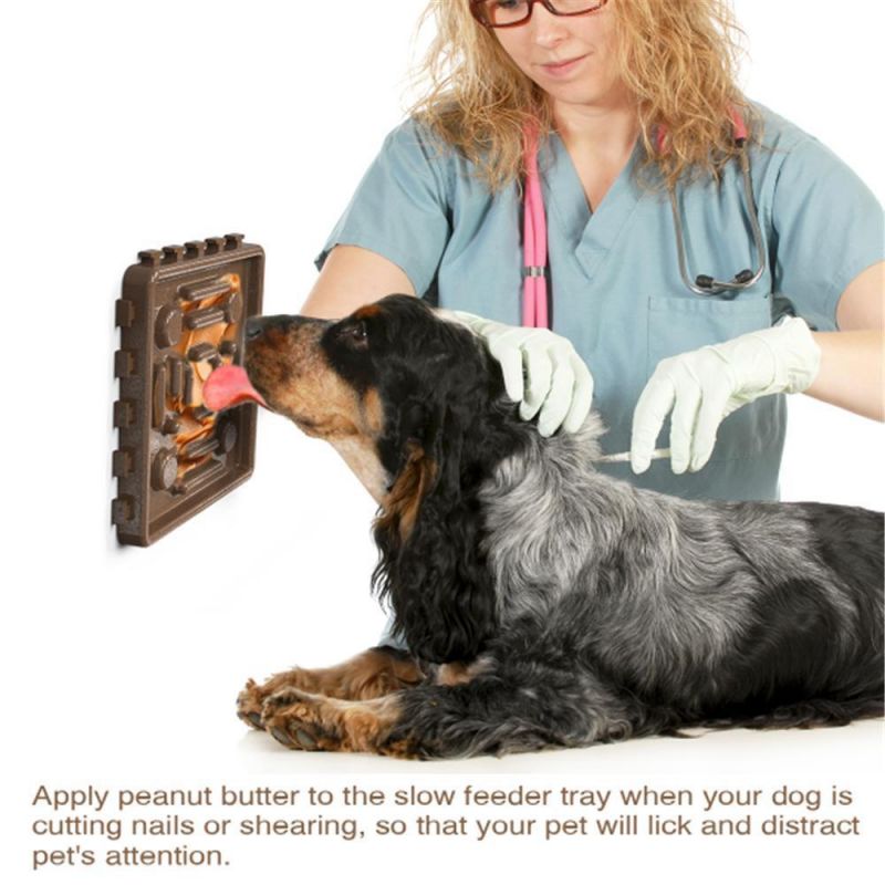 Pet Slow Eating Bowl Licking Combination Plate