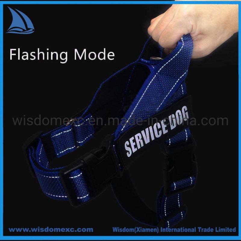 Blue Reflective Dog Harness with Buckle for Training