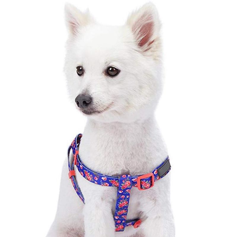 Factory Wholesale Lowest Price Sublimation Printing Dog Harness