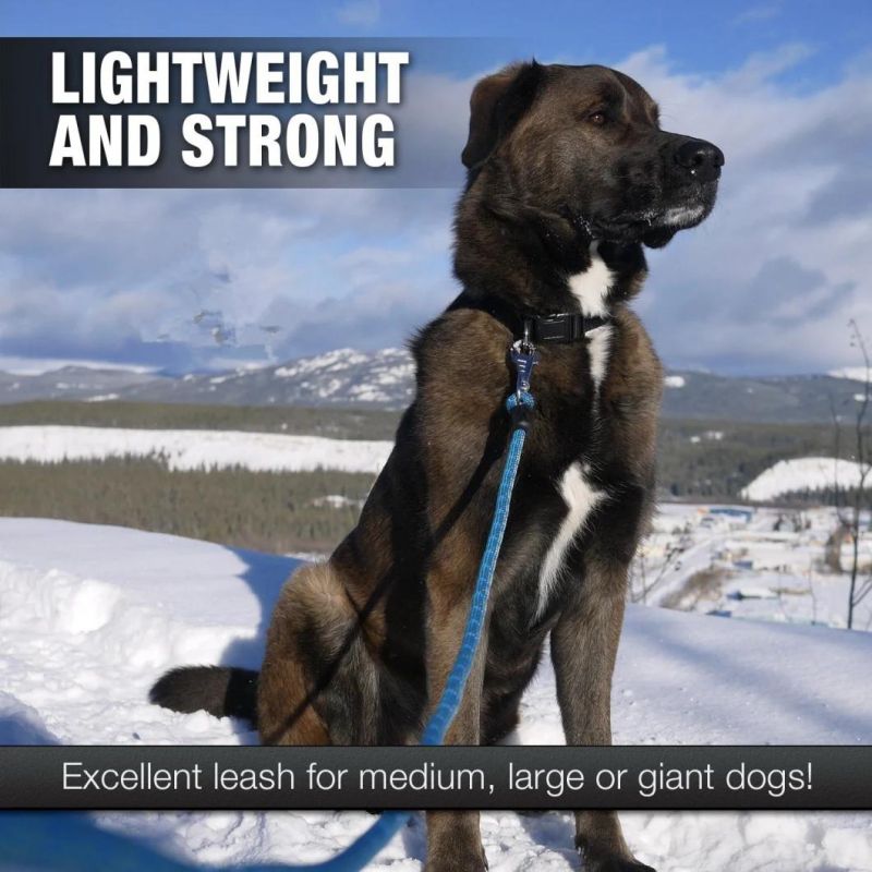 Dog Leash Padded Handle&Dash Strong Medium-Large Dogs