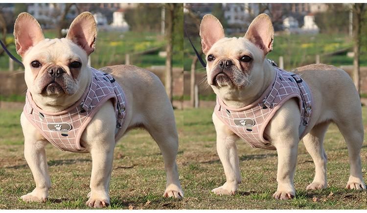 Cross-Border Pet Chest Harness Vest-Style Dog Reflective Harness Cat Harness
