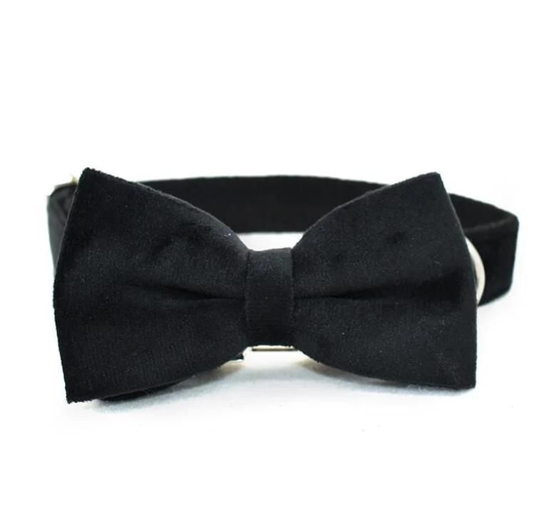 Classic Velvet Dog Collar with MOQ50PCS in Mixed Colors and Pattern Design