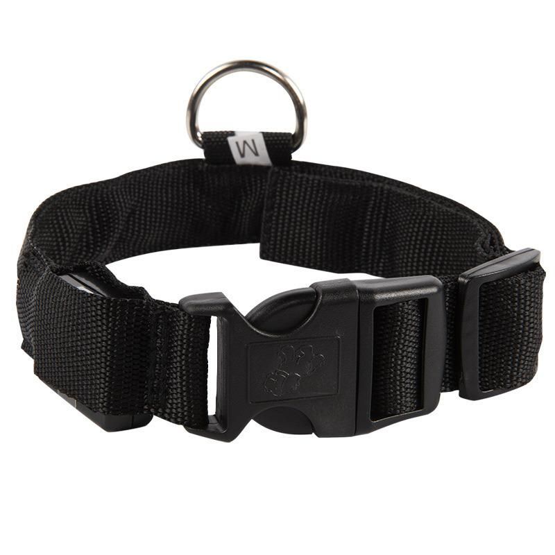 Safety USB Rechargeable Collar Night Illuminated Glowing Luminous Light Pet LED Dog Collar