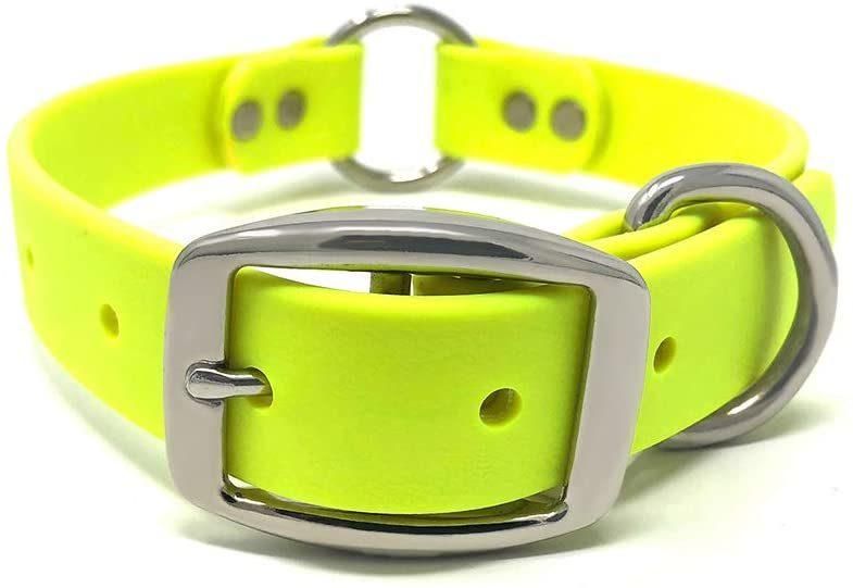 Odor Resistant Waterproof Dog Collar with Heavy Duty Center Ring